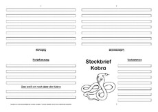 Kobra-Faltbuch-vierseitig.pdf
